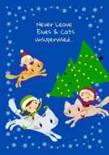 Cute Christmas Elves and Cats for families, children, grandparents and elf pets created by Ozric's Cards
