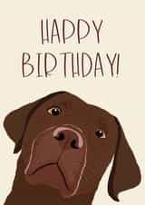 Super cute Birthday dog card - Brown Labrador! created by Jasmin
