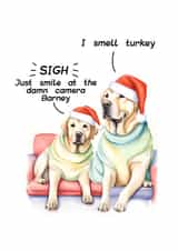 Cute dog couple on Christmas Day - sarcastic family photo created by crackerjack