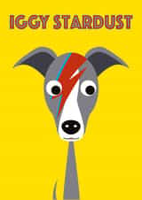 Punny Iggy Stardust Card - David Bowie - Italian Greyhound created by Stripey Cats