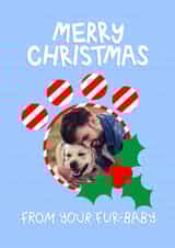 Personalised Christmas Photo Card created by Ludicrous Prints - Cute Christmas Photo Card - From Your Fur Baby