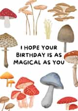 Mushroom Birthday Card - I Hope Your Birthday Is As Magical As You, Cute, Simple created by WittyGoodsShop
