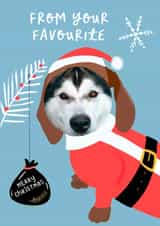 Personalised Christmas Photo Card created by patternmuse - Cute Christmas Photo Card - From the dog - Santa