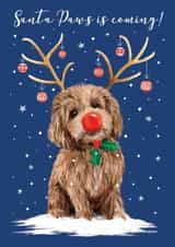Cute Cockapoo Christmas Card - Santa Claus is coming - Dog - From the Dog created by Di Brookes Design
