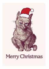 Grumpy Cat Christmas Hat card created by Matt Windsor