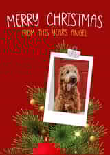 Personalised Christmas Photo Card created by A few wise words - Cute Christmas Photo Card - From the Dog - Polaroid