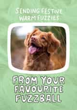 Personalised Christmas Photo Card created by Angela Chick - Cute Christmas Photo Card - From your favourite fuzzball