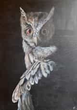 Beautiful painting for a wise owl created by Sally Taylor