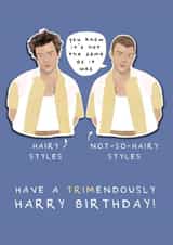 Funny Celebrity Birthday Card - Harry Styles - Not-So-Hairy Styles created by Larry the Match