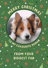 Personalised Christmas Photo Card created by Fliss Muir - Cute Christmas Photo Card - From the dog