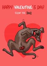 Funny Valentine's Card - From the Dog - Balls created by Bryony Jackson Walters