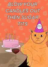 Funny cat birthday card created by C.W ILLUSTRATIONS 