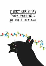 Merry Christmas from the cat - Funny Xmas card for cat owners created by Paper Edges