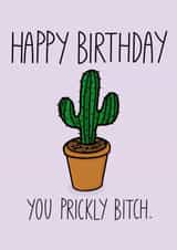 Cute Birthday Card - you prickly b*tch! created by Emily Buchanan