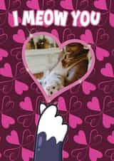Personalised Valentines Day Photo Card created by ShortRound888 - Cute Valentines Card - From the Cat - I Meow You