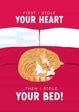 Funny Valentine's Day Card - From the Cat - Stole Your Bed created by The Cake Thief