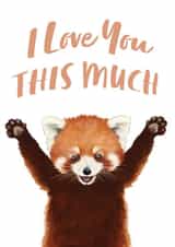 Cute Red Panda Card for Significant Other - I Love You THIS MUCH created by Debbie Daley Illustrations