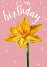 Daffodil Birthday Card - It’s your birthday created by Olivia Moore