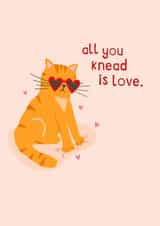 Cute Valentines Card - Cat Making Biscuits - all you knead is love pun created by Zoe Spry