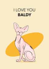 Cute anniversary card for your bald partner - bald cat created by Federica Martini