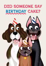 Funny Birthday Card - Dogs - Did Someone Say Birthday Cake? created by Folio | Ian Owen