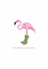 Cute Safari Card - Flamingo in wellies - The world is yours to explore created by Hele Jelly Bean