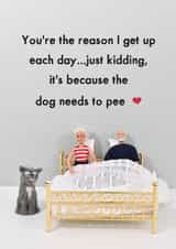 Funny Valentines Card - You're the reason.... created by Bold & Bright Cards