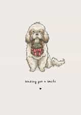 Cute Shih Tzu Dog Card - for Loved One - Sending You a Smile created by Elspeth Rose