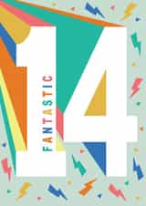 Fantastic 14 year old - Bold modern design created by Ally Marie Illustration