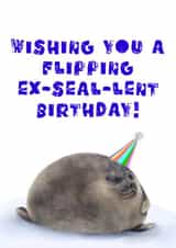 Funny Seal Birthday Card - Chonky Seal - Happy Birthday created by rcdesigns