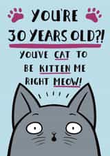 Funny Cat Pun Birthday Card - 30th created by Jimmy Doodle