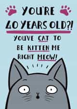 Funny Cat Pun Birthday Card - 40th created by Jimmy Doodle