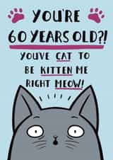 Funny Cat Pun Birthday Card - 60th created by Jimmy Doodle