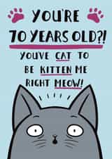 Funny Cat Pun Birthday Card -  70th created by Jimmy Doodle