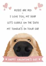 Cute Valentine's Day card - from the dog created by The Merry Giraffe