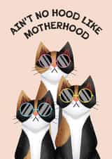 Funny Mother's Day Card - Cat Person - Motherhood created by Folio | Ian Owen