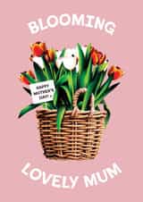 Blooming Lovely Mum - Happy Mother's Day - Tulips created by Folio | Ian Owen