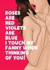 Rude Valentine /Anniversary card - For Him - Touch my Fanny created by Filthy Sentiments