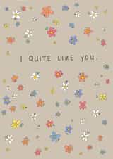 Cute and Romantic Valentines Love Card - I Quite Like You created by Sarah Symonds | Townhouse Creative