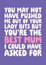 May Not Have Pushed me Out Your Lady Bits - Mother's Day Card created by Studio Doodles