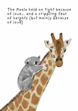 Romantic card -  for significant other - funny- cute - animals created by Not at all Jack