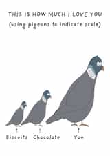 Funny card - for significant other - pigeons - love created by Not at all Jack