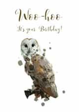 Cute owl birthday card for your loved ones. created by Designs by Elena