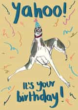 Funny dog birthday featuring a greyhound in a hat created by Harriet Lowther