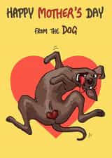 Funny Mother's Day Card - From the Dog - Balls created by Bryony Jackson Walters
