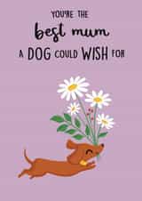 Cute Mother’s Day Card - From The Dog - Sausage Dog created by Sophie Kent Illustration