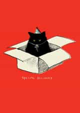 Funny Birthday Card - Grumpy Cat - Special Delivery created by Poet and Painter