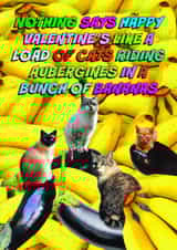 Funny Valentine's Day Card - Bananas - Cats Riding Aubergines created by OBJECTABLES