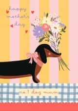 Cute Mother's Day Card - No.1 Dog Mum - Sausage Dog/Dachshund created by SARAH WRIGHTSON DESIGN