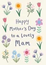 Cute Mother's Day Card - Lovely Mam created by Sarah Catherine